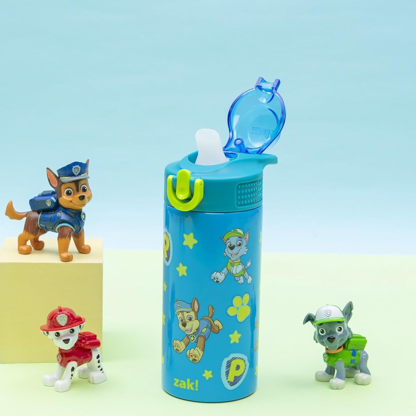 Zak Designs PAW Patrol Kids Water Bottle - 14oz Stainless Steel with Straw & Leak-Proof Spout | Sage Color