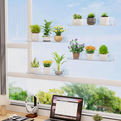 Lifewit Window Plant Floating Shelves 14.6x3.6, 4 Pack Acrylic Suction Cup Shelf, Window Sill Extender for Indoor Succulent Plants, Micro Greens, Seed Starter Pots, Herb Planters 37 x 9 cm/14.6x3.6
