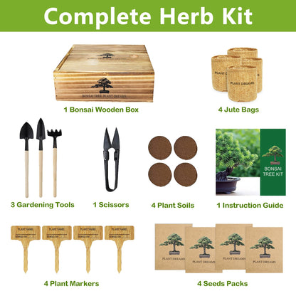 Bonsai Tree Kit, Bonsai Starter Kit with 4 Types of Seeds, Tools & Planters, Bonsai Tree Live Plants Indoor, Gardening Gifts for Women Men Mom Father Plant Lover, Unique