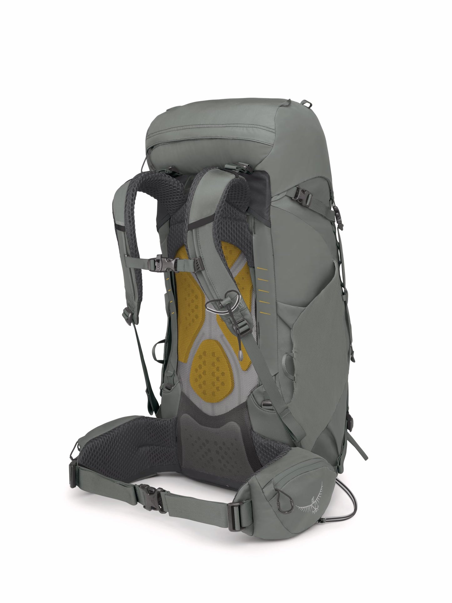 Osprey Kyte 38L Women's Backpacking Backpack with Hipbelt, Rocky Brook Green, WM/L