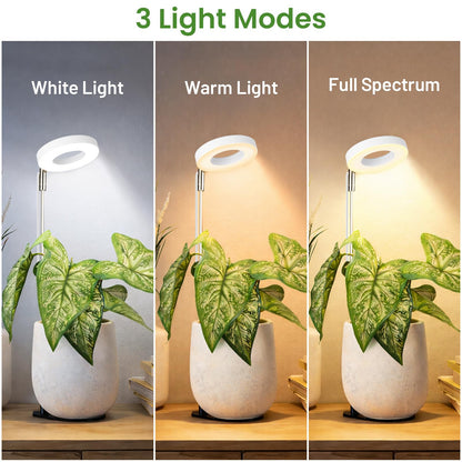 LBW Grow Light for Indoor Plants, Full Spectrum Plant Light with Base, Height Adjustable Plant Growing Lamp with Auto On/Off Timer 6/8/12/16H, 3 Colors,5 Dimmable Brightness, for Small Plants, White