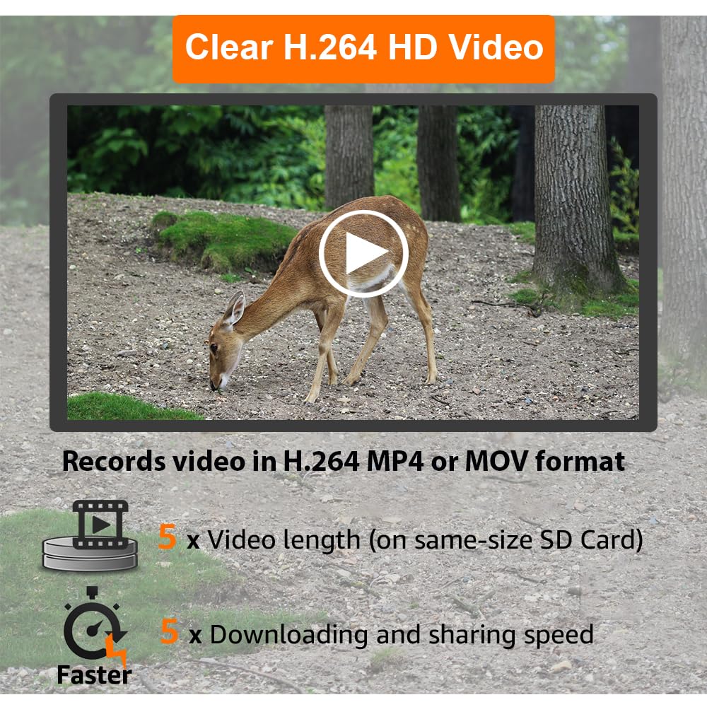 GardePro A3S 2-Pack Trail Camera (Non-Cellular, Non-WiFi), Enhanced Low-Light Performance, 64MP Photo & 1296P HD Video, 0.1s Trigger, 100ft No-Glow Night Vision, Motion Activated Wildlife Camera