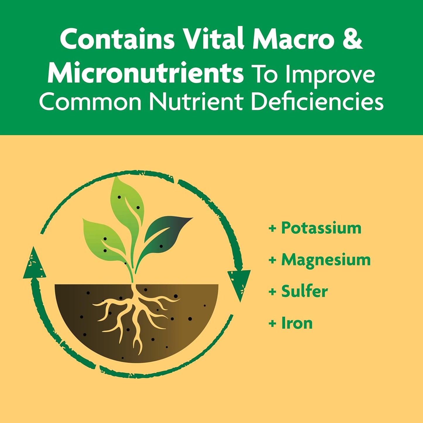 Miracle-Gro Shake 'N Feed Plant Food - Nourishing Citrus, Avocado & Mango Trees | 4.5 lbs