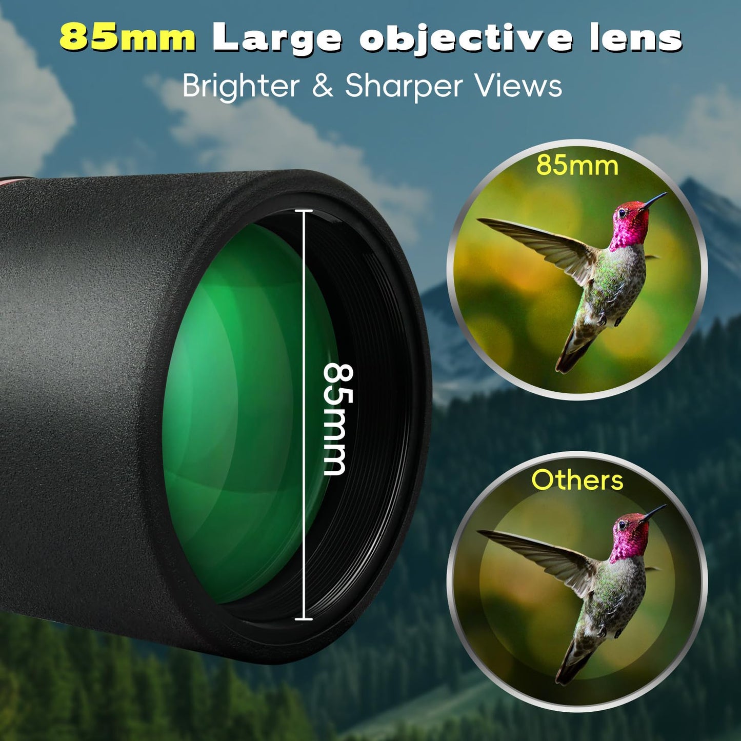 Cert Leidis 25-75x85 HD Spotting Scope with Phone Adapter & Tripod & Portable Carrying Bag - Fully Multi-Coated & BAK4 Prism, Waterproof Spotter Scope for Birding,Wildlife Viewing,Outdoor Observation