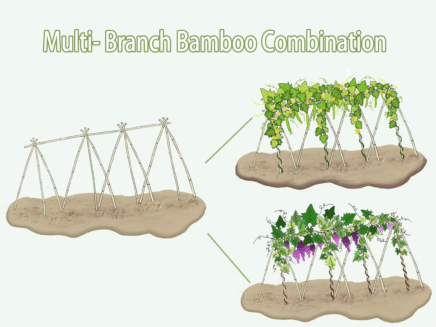 Bamboo Garden Stakes - 4 Feet Tall | 65 Pcs Durable Plant Supports for Tomatoes, Beans & Flowers