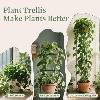 2 Pack 23.6 Inch Small Trellis for Potted Plants - Rustproof Garden Trellis for Potted Indoor Houseplants, Plant Support for Ivy, Pothos, Monstera, Hoya, Flower Vines (23inch/2 Pack)