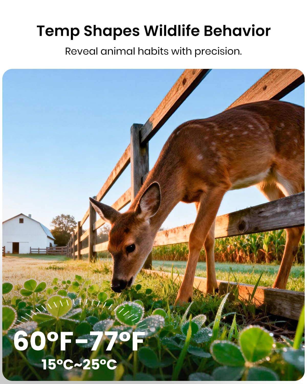 Misstech 4K UHD Solar Trail Camera for Game & Wildlife Monitoring - 0.1s Fast Activation to Record Animals, 64MP/4K Clear Night Vision, No Monthly Fee, App Control, IP66 Waterproof, 32GB SD Card