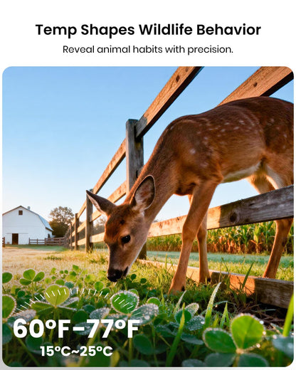 Misstech 4K UHD Solar Trail Camera for Game & Wildlife Monitoring - 0.1s Fast Activation to Record Animals, 64MP/4K Clear Night Vision, No Monthly Fee, App Control, IP66 Waterproof, 32GB SD Card