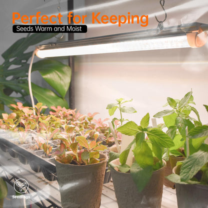 Bstrip Indoor Greenhouse with Grow Light, Mini Green House with 5 Pack T8 Full Spectrum Plant Lights, Plant Shelf with Tent for Indoor Plant, Seed Starting, Seed Tray, 35.4"x13.8"x71"