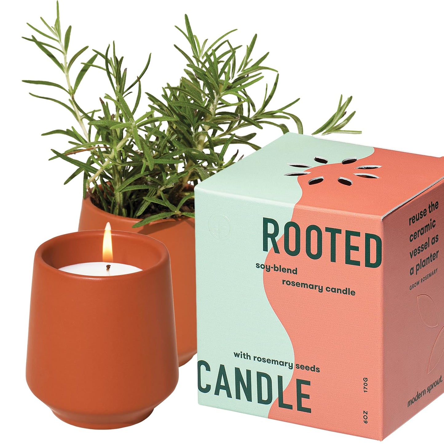 Modern Sprout - 2 in 1 Cucumber Scented & Soy Candle with Seeds that Grows into Rosemary Plant - 6 oz w/ 42 Hr Burn Time in Matte Glaze Ceramic Vessel Ideal for Indoor Herb Garden