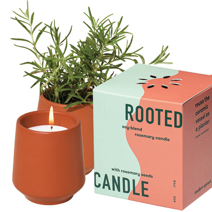 Modern Sprout - 2 in 1 Cucumber Scented & Soy Candle with Seeds that Grows into Rosemary Plant - 6 oz w/ 42 Hr Burn Time in Matte Glaze Ceramic Vessel Ideal for Indoor Herb Garden