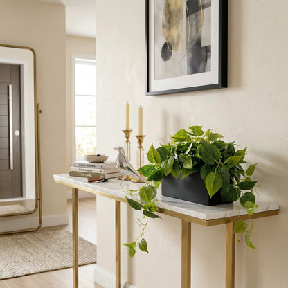 MyGift Vibrant Lifelike Artificial Plant Pothos Leafy Vine Greenery in Black Concrete Rectangular Planter Box