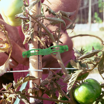 OJYUDD Plant Support Clips - 300 Pcs Plastic Tomato Clips for Climbing Plants | Green