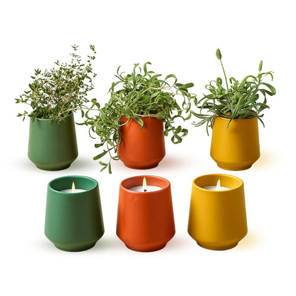 Modern Sprout - 2 in 1 Scented Candles with Seeds that Grows into Plants - 6 oz Soy Candle with 42 hr Burn time in Matte Glaze Ceramic Vessel - Rosemary, Thyme, & Lavender - Pack of 3