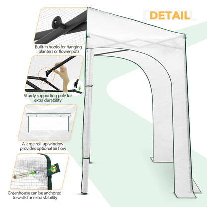 EAGLE PEAK 10x5 Portable Walk in Greenhouse, Pop Up Indoor Outdoor Greenhouse, Green House Kit with Zippered Roll-Up Doors and Windows, Lean-to Design, PE Cover, Clear/White