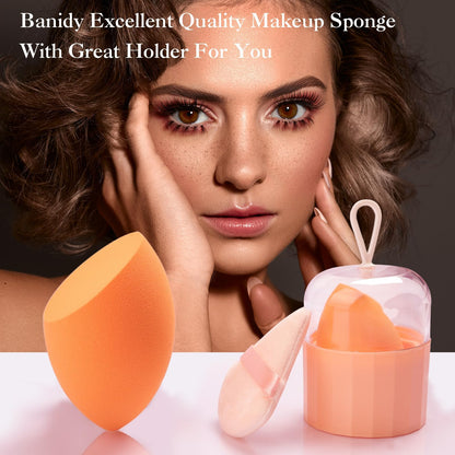 Professional Toiletry Sponges Set,Latex Free Flawless Soft Face Sponge with Holder,Beauty Blender Cosmetic Applicator for Powder,Liquid,Facial Makeup Tools
