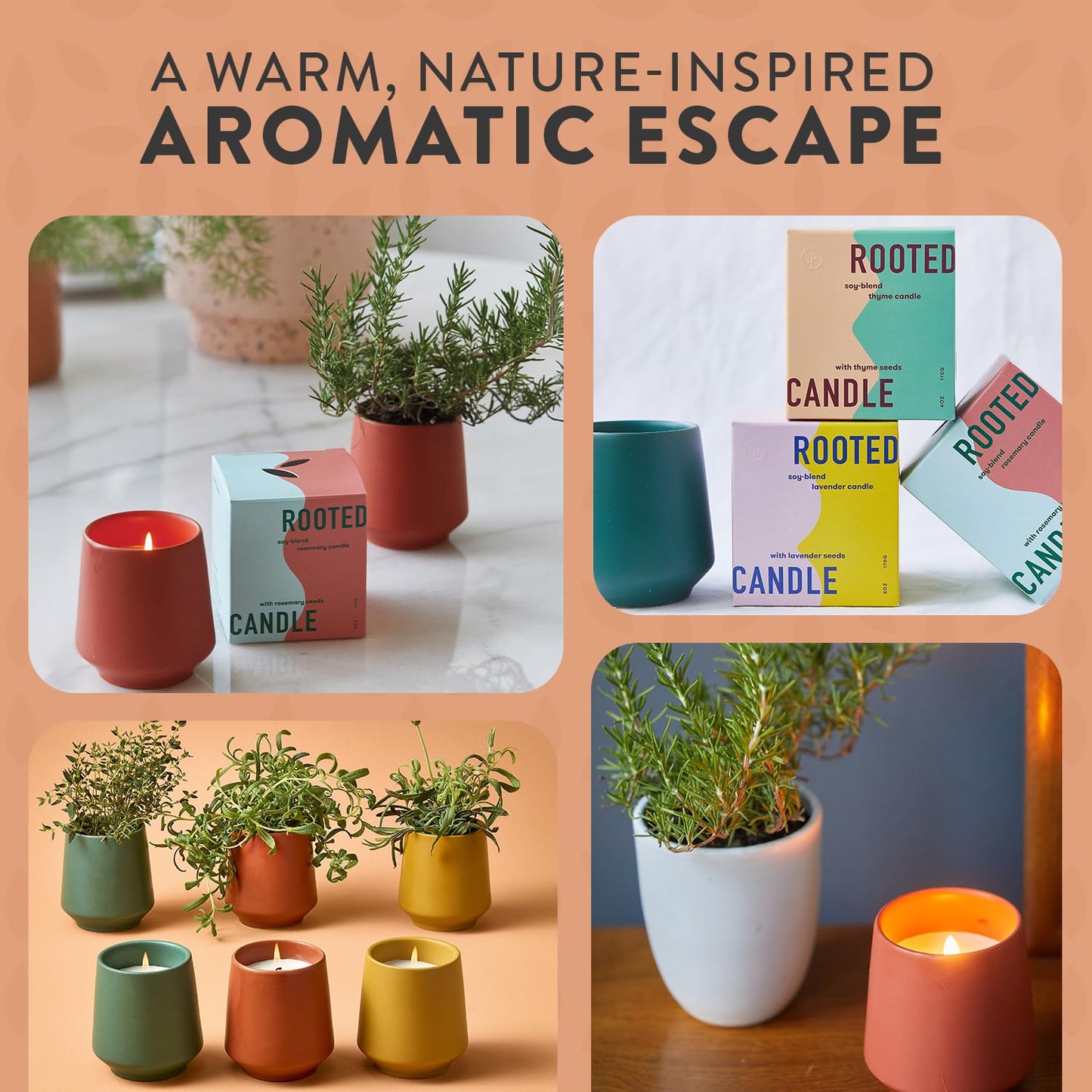 Modern Sprout - 2 in 1 Cucumber Scented & Soy Candle with Seeds that Grows into Rosemary Plant - 6 oz w/ 42 Hr Burn Time in Matte Glaze Ceramic Vessel Ideal for Indoor Herb Garden