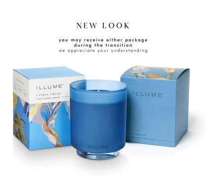 Illume Beautifully Done Essentials Citrus Crush Boxed Glass Scented Soy Candle