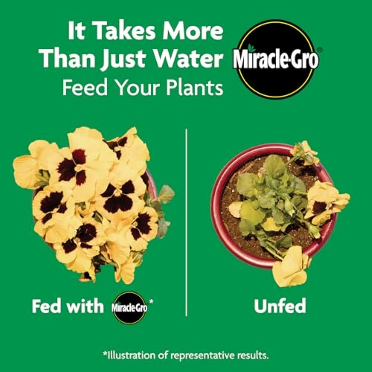 Miracle-Gro Shake 'n Feed Rose & Bloom Plant Food - Long-Lasting Granular Fertilizer, Feeds 3 Months - 4.5 lbs.
