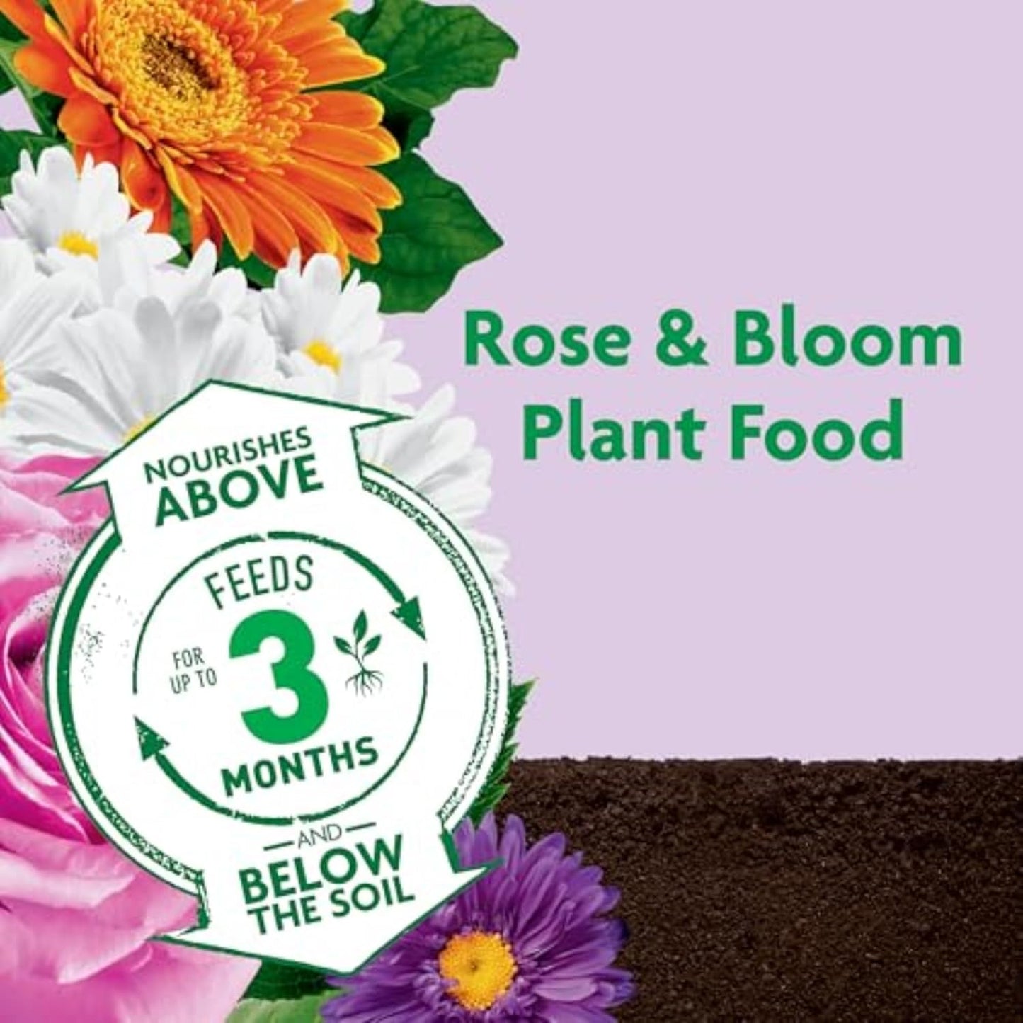 Miracle-Gro Shake 'n Feed Rose & Bloom Plant Food - Long-Lasting Granular Fertilizer, Feeds 3 Months - 4.5 lbs.