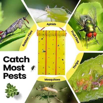 Qualirey Giant Sticky Fly Traps, Fly Strips for Indoor Outdoor Hanging Flying Tapes Non Toxic Ribbon Fruit Gnat Killer for Mosquito Plants House Horse Stable(442.95ft,Yellow,15 Pcs)