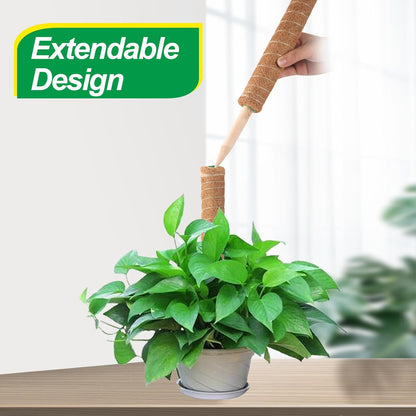 Skiennix 6 Pack Moss Poles for Monstera Plant Support - Stackable Design (4x17in + 2x12in) for Indoor Plants