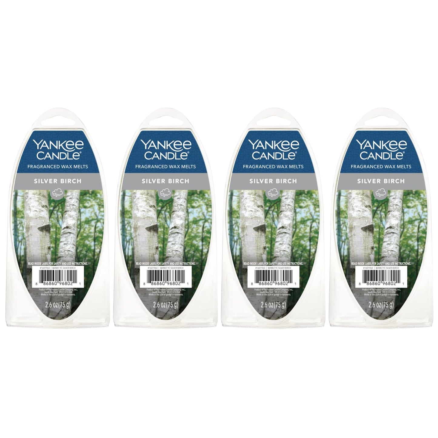 Yankee Candle Scented Wax Melts for Wax Warmers, Long Lasting Home Fragrance, Odor Eliminating Wax Cubes, Silver Birch, 6 Count (Pack of 4)