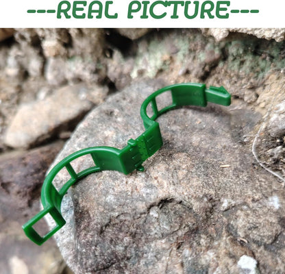 Skiennix Plant Support Clips - 100 Durable Tomato Clips for Trellis & Climbing Plants | Green