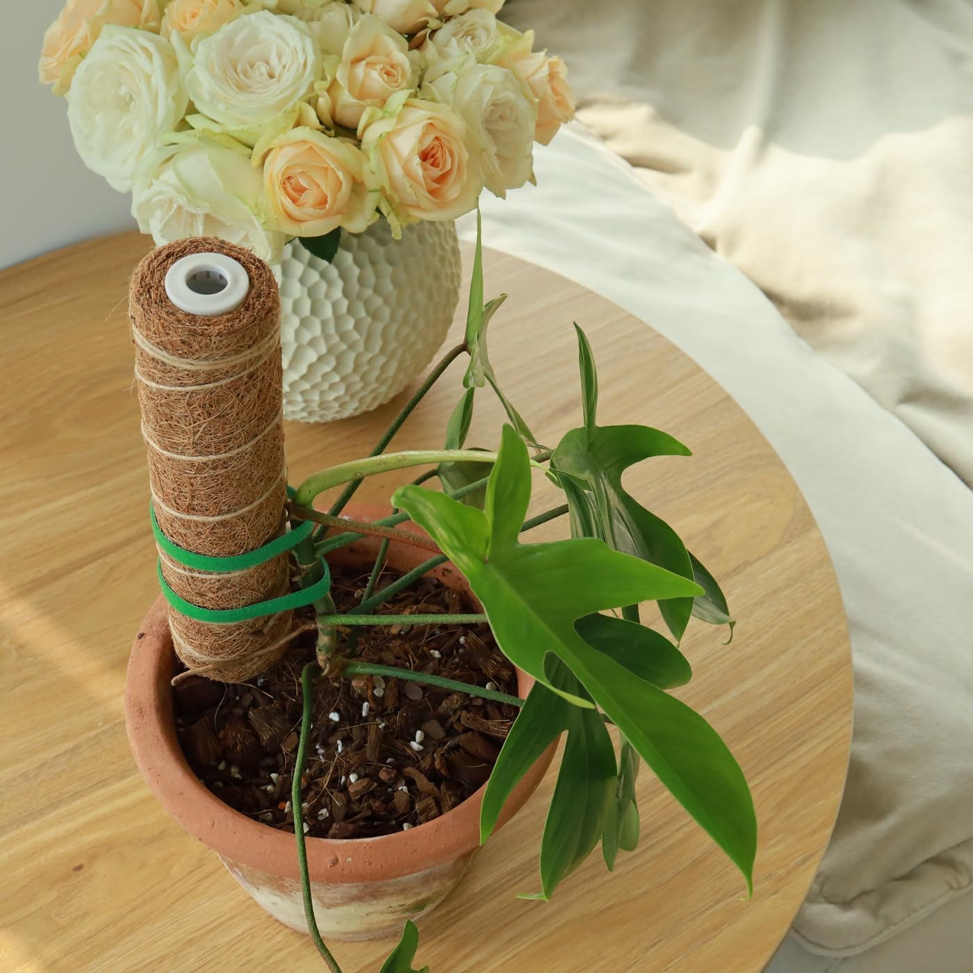 Moss Pole for Plants - 4 Pack Natural Coco Coir Climbing Support Stakes | 7.9 Inch Each, Total 31.6 Inch