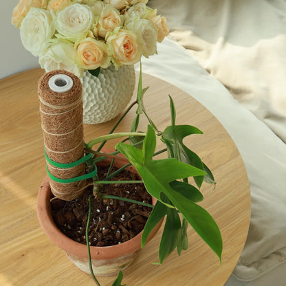 Moss Pole for Plants - 4 Pack Natural Coco Coir Climbing Support Stakes | 7.9 Inch Each, Total 31.6 Inch