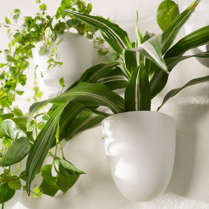 PlantPod Classic - Self-Watering Wall Planters (9, White) - Easy to Water and Install - Lightweight - Design Your Own Vertical Garden - Wall Planters for Indoor Plants
