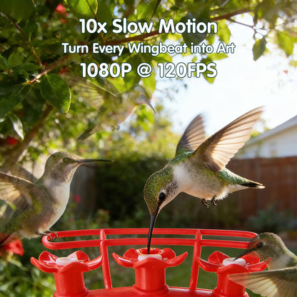 Humbirdy Hummingbird Feeder with Camera, 4K Ultra HD Video at 30fps, 10x Slow-Motion at 120fps,1.9in Closer Focus, No Subscription,Leak Proof, Ant Moat,Solar Powered, 2.4G&5G Wi-Fi,Bird Lover Gift