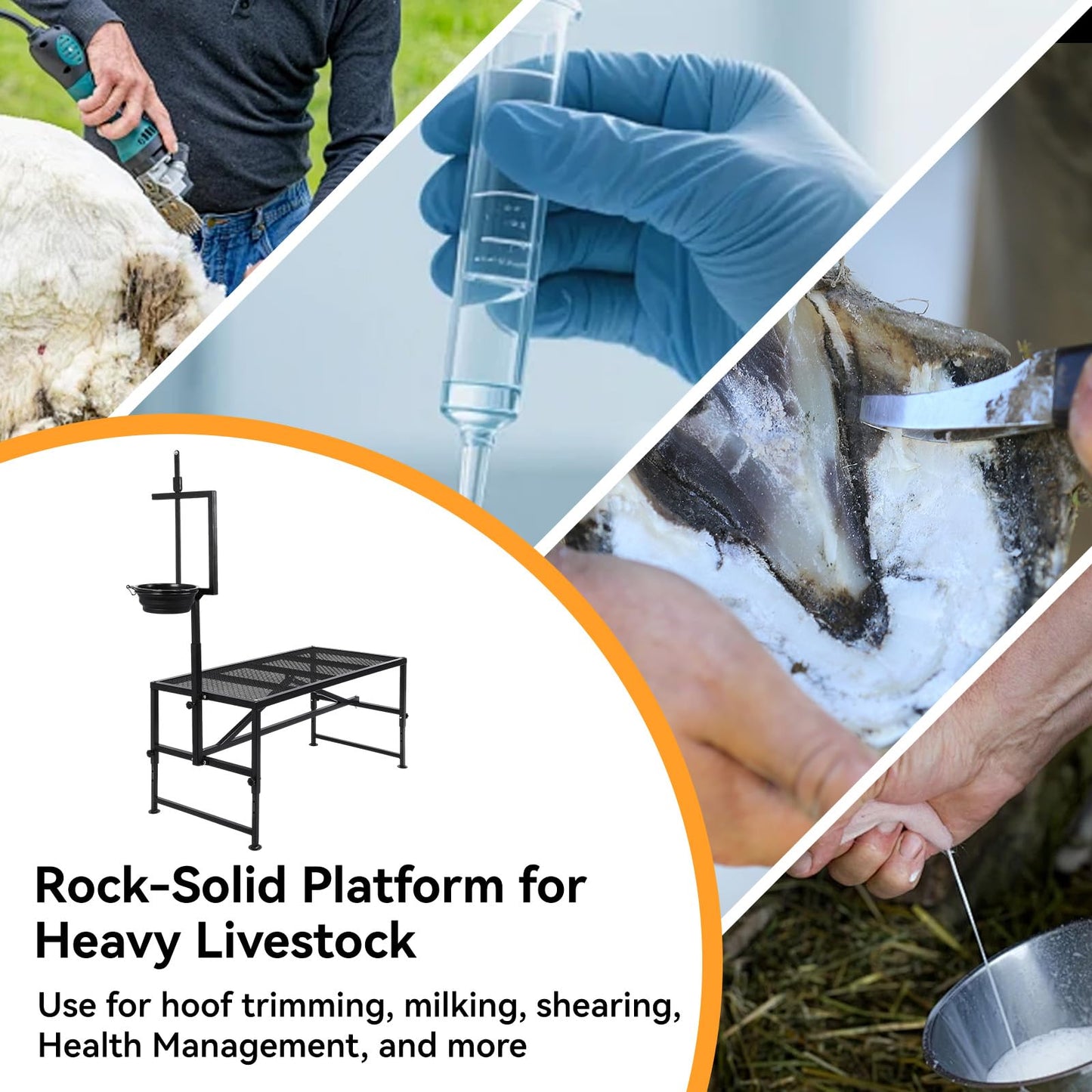 FULUPET Goat Milking Stand with Feed Bin, 600 LBS Heavy Duty Sheep Trimming Stand, Adjustable Headpiece Livestock Stanchion, Stable Metal Hoof Trimming Platform for Grooming & Shearing, Farm Equipment