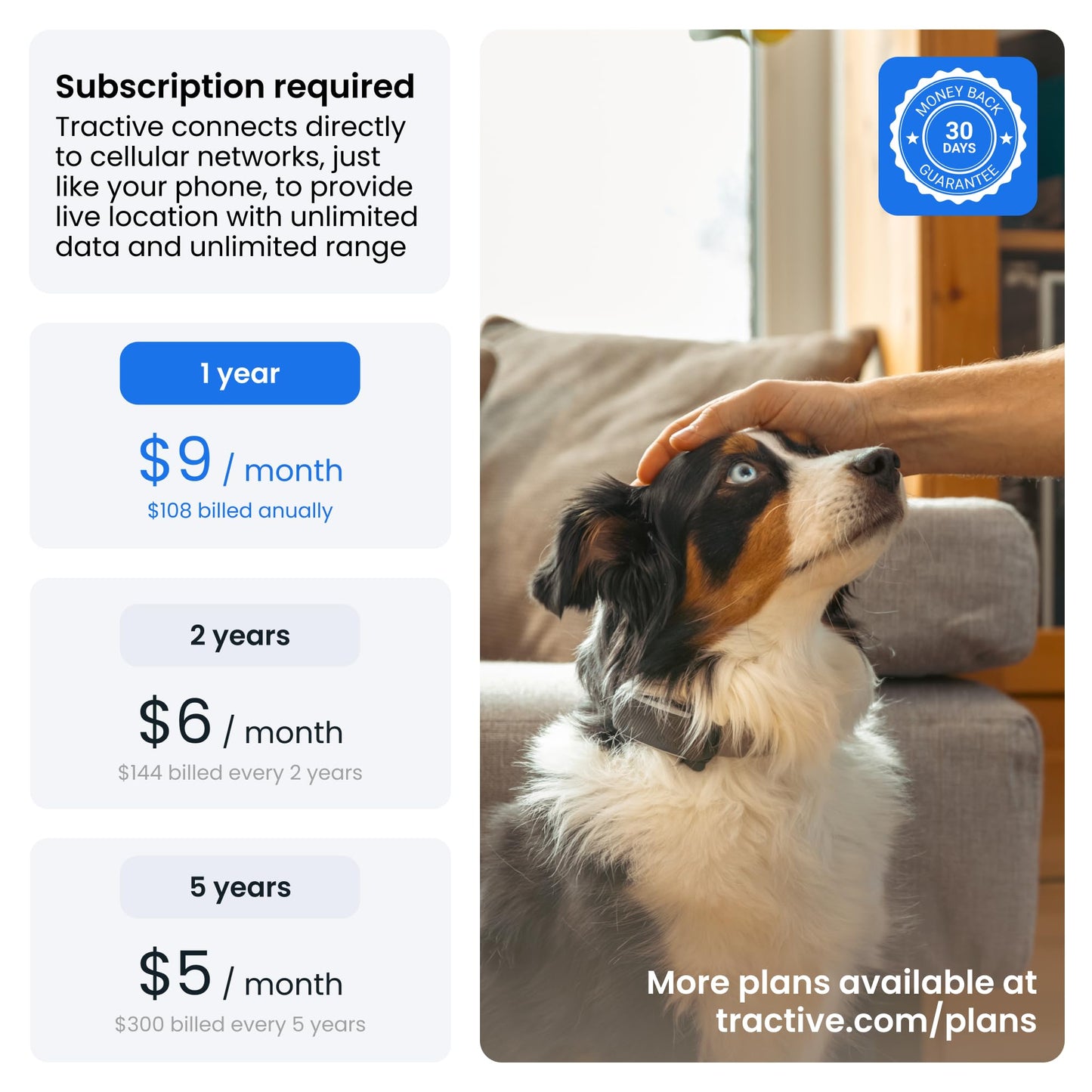 Tractive Smart Dog GPS Collar | Live Pet Tracker with Virtual Fence | Vital Signs Monitoring of Heart & Respiratory Rate | Bark Monitoring | LED Dog Collar (Blue, Medium)