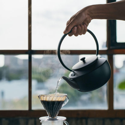 BALMUDA Combo Pack in Black | MoonKettle & The Lantern | Electric Kettle with Temp Control & Rechargeable LED Lantern