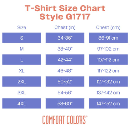 Comfort Colors Adult Short Sleeve Tee, Style G1717, Berry (1-pack), Small