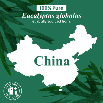 Handcraft Blends Lavender Essential Oil – Huge 4 Fl Oz – 100% Pure and Natural – Premium Grade Essential Oil for Diffuser and Aromatherapy, Skin, Massage, Candle and Soap Making Fragrance