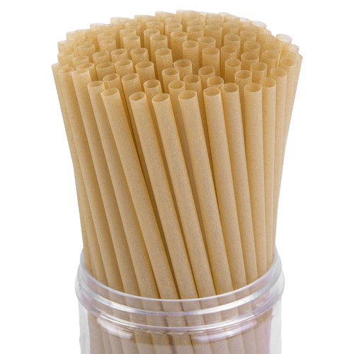HANSGO Sugarcane Straws, 200PCS Drink Straws Disposable for Hot Cold Drinks, Coffee, Cocktail, Juice Home Favor, The Beach Party, Natural Brown
