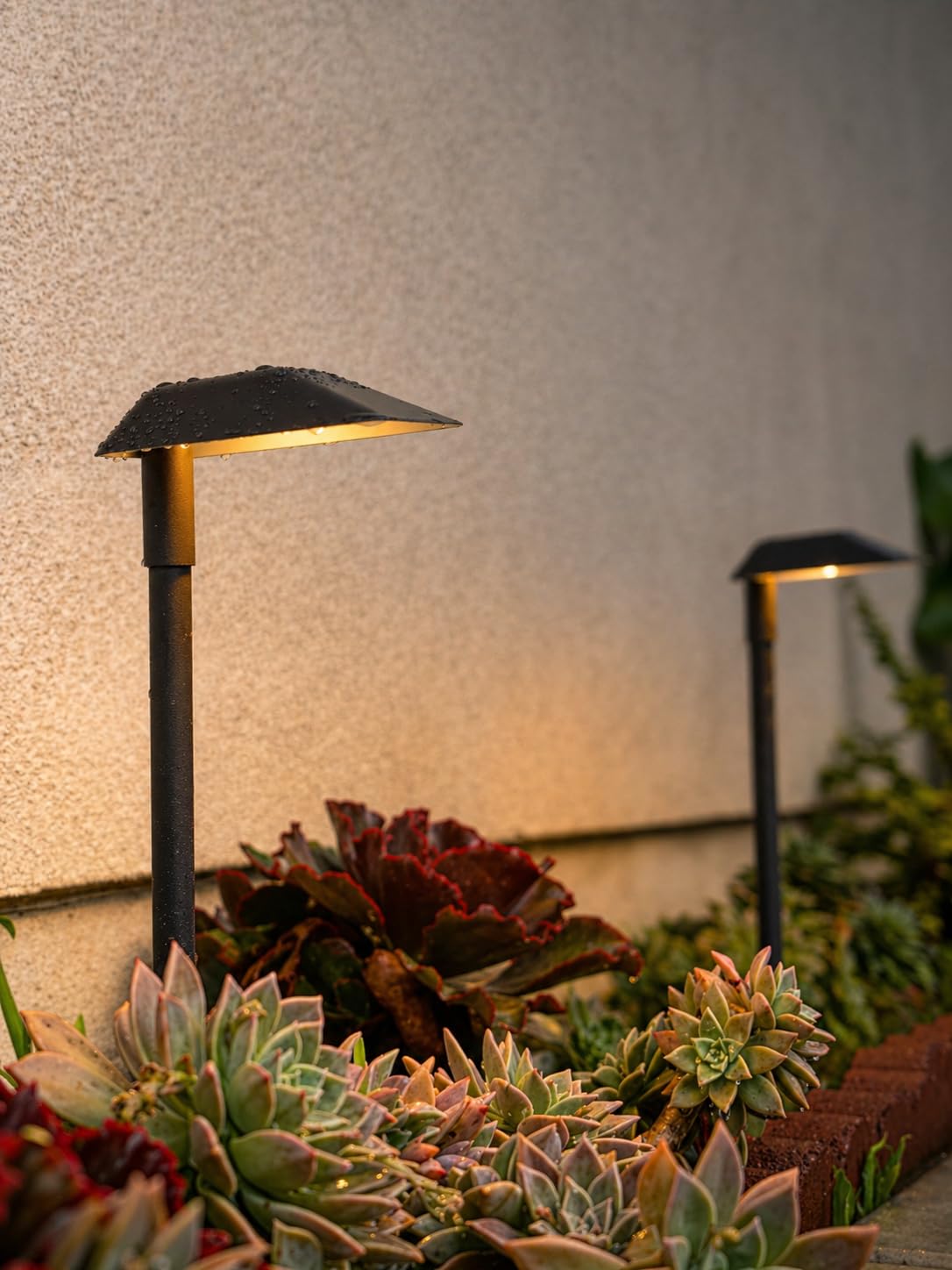 LEONLITE 12-Pack 5CCT Anti-Glare Low Voltage Pathway Lights, 5W Wired LED Landscape Path Lights, Aluminum IP65 Outdoor Landscape Lighting for Walkway Yard, 1800K/2700K/3000K/4000K/5000K, ETL