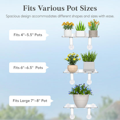 Lifewit 6" Extra Wide & Strong Window Plant Floating Shelves 2 Pack, Heavy Duty Acrylic Suction Cup Shelf, Sill Extender for Succulent Plants, Seed Starter Pots, Herb Planters 38 x 15 cm/15.2x6