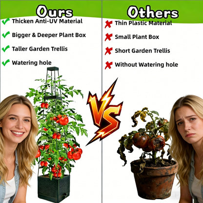 TESSTSY 2Pcs Raised Garden Bed Tomato Planter Box with Trellis, 57 Inch Self-Watering Large Tomato Cage for Patio Garden Pots, Climbing Plants Cucumber Vine Vegetables Flowers Outdoor & Indoor