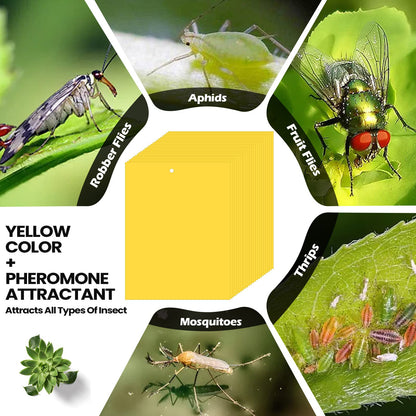Qualirey 900 Pcs 6x8 Inch Yellow Sticky Traps for Gnats, Dual-Sided Sticky Gnat Traps for Indoor Outdoor, Fly Catcher for Fungus Gnats, Fruit Flies, Whiteflies– Bulk Pack with Twist Ties