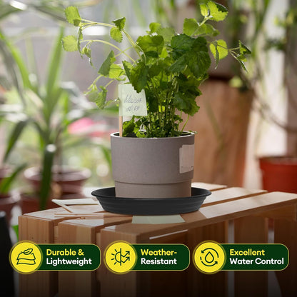 Maygrove Plant Saucers - Heavy Duty 6 Pack for Indoor & Outdoor Use | 8, 10, 12 Inch Black Trays