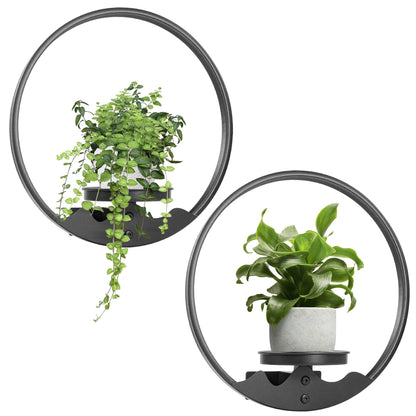 Aunulahca Round Picture Frame Wall Plant Holder Black Wall Hanging Planters Metal Window Plants Shelf Plant for Indoor Outdoor Garden Rockery Decoration 2 Pack