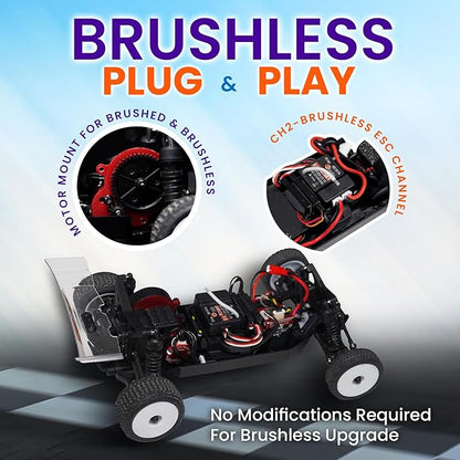 HOBBYPLUS Speck B 1/24 2WD Mini RC Car - RTR RC Buggy Fast Mini Racing Buggy Brushless Ready with Oil-Filled Shocks – Fun Indoor Remote Control Car Racing Vehicles for Adults (Razor Orange)