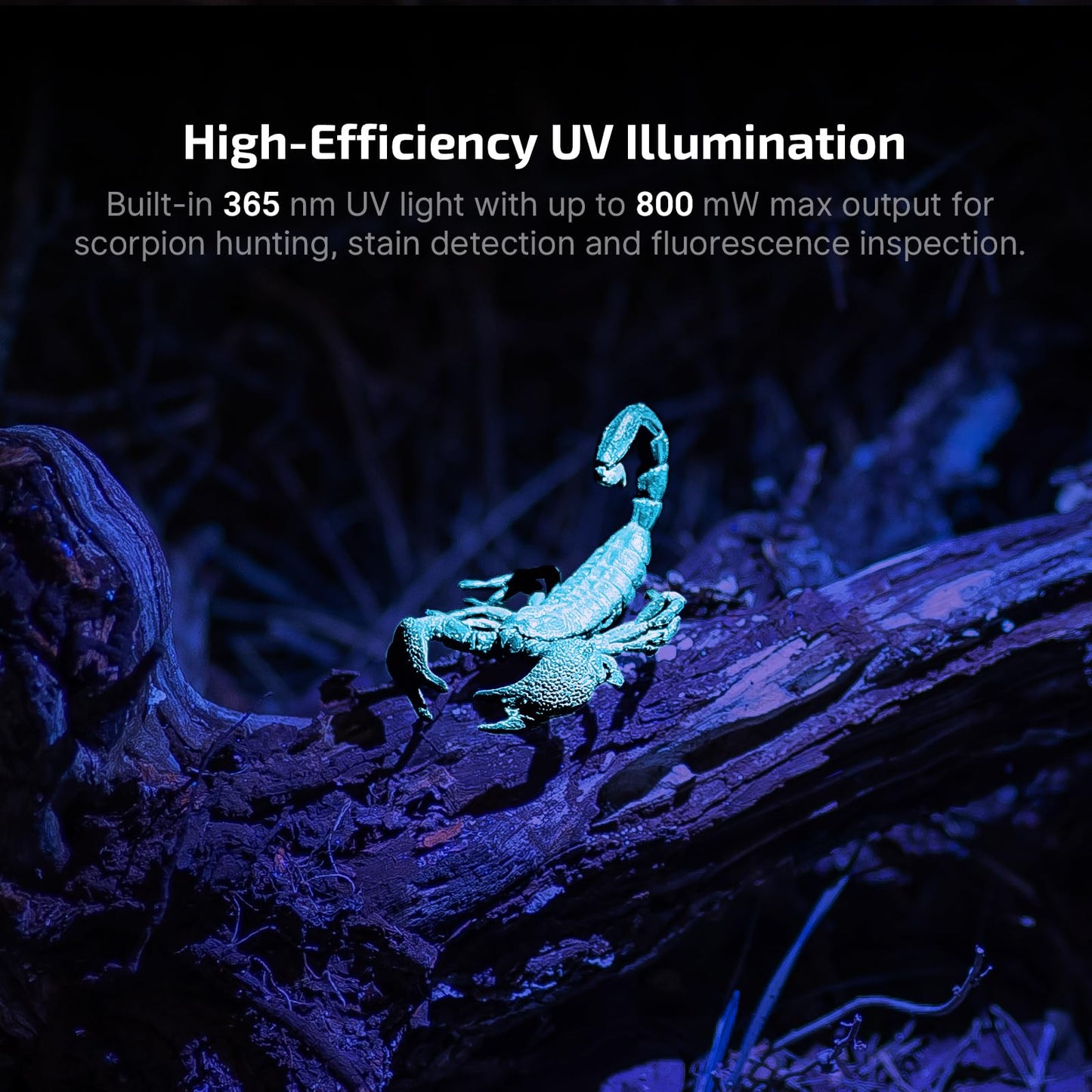 OLIGHT Baton4 Pro EDC Flashlight Rechargeable, 1600 Lumens Small Pocket Flash Light with Magnetic & USB-C Charging and Tail Switch Bundle with Oclip Pro S Clip-on Light, 600 lms Type-C with White LED,