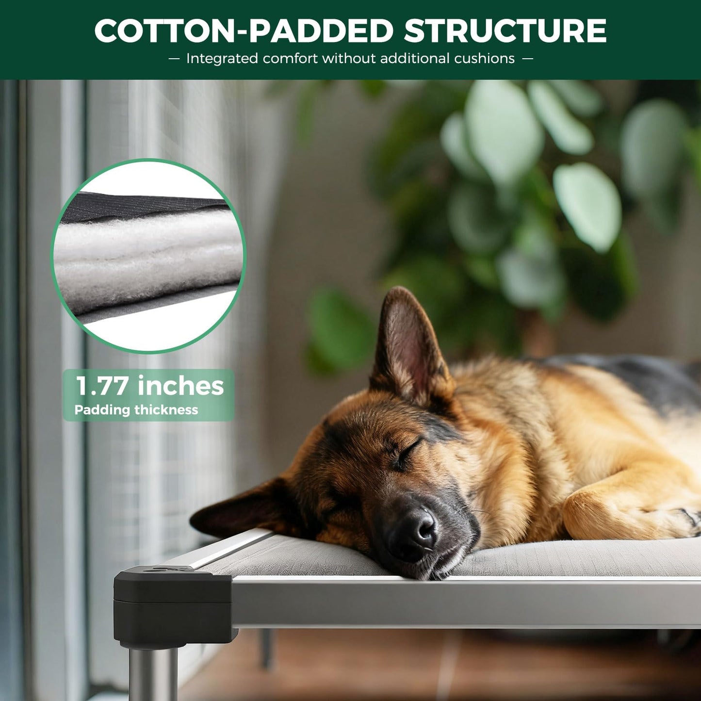 FXW TitanNest Chew-Proof Elevated Dog Bed, Raised Cot for Indoor/Outdoor/Camping Use, Durable & Washable Padded Pet Bed for Large Dogs, 47.0" L x 29.0" W x 7.3" H, Gray