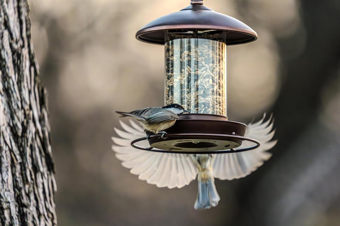 Youvip Metal Roof Bird Feeder - Chew-Proof Design for Outdoor Hanging | Bronze Finish