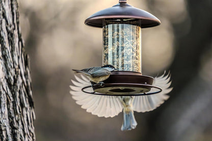 Youvip Metal Roof Bird Feeder - Chew-Proof Design for Outdoor Hanging | Bronze Finish