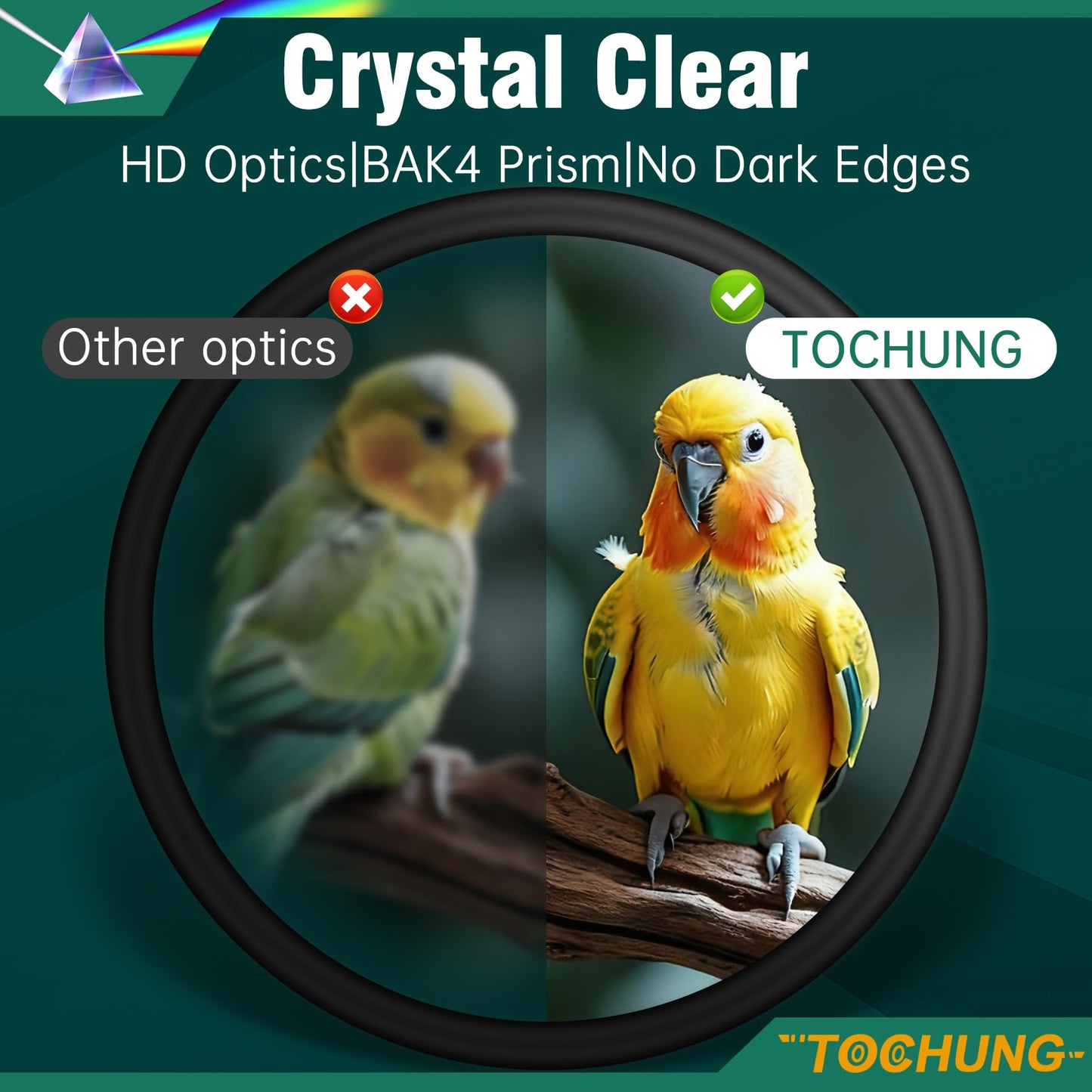 TOCHUNG 20-60x80 HD Spotting Scope | Waterproof & Fogproof High-Powered Telescope for Long-Distance Birdwatching, Target Shooting, Astronomy | Included Phone Adapter & Tripod & Carry Bag